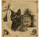 Pózimas, Libro Mágico. Colección 30,5 x 30,5cm. Molinete Scrap.