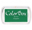 Tinta Color Box, Evergreen