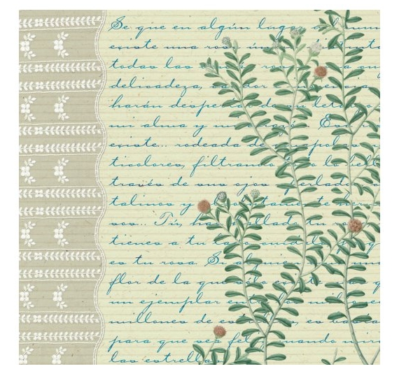 Papel de scrap de doble cara , 30,5 x 30,5 cm  Puntilla con Ramillete