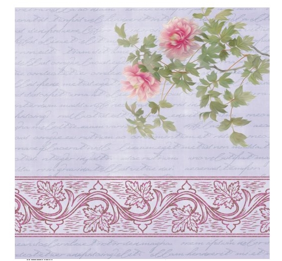 Papel de scrap de doble cara  Cenefa