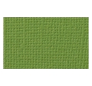 Cartulina texturizada de 30,5 x 30,5 cm Verde Fresco
