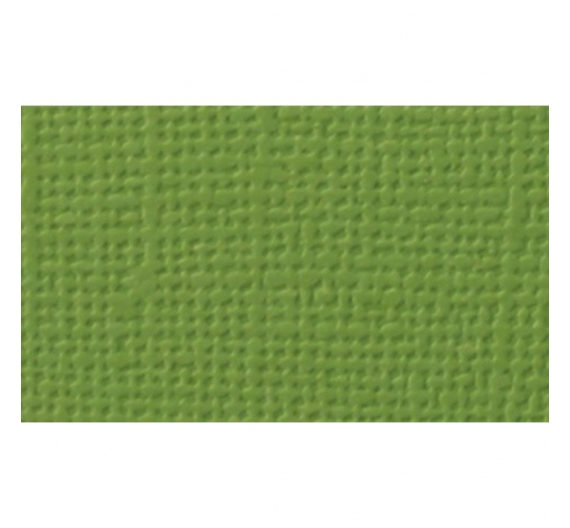 Cartulina texturizada de 30,5 x 30,5 cm Verde Fresco