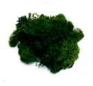 Musgo Verde Oscuro 15gr