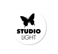 Studio Light